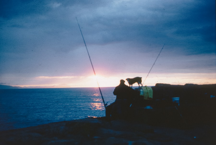 tuna fishing practices