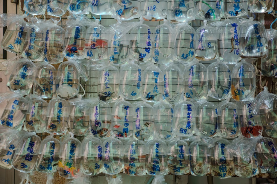 bottled water quality testing