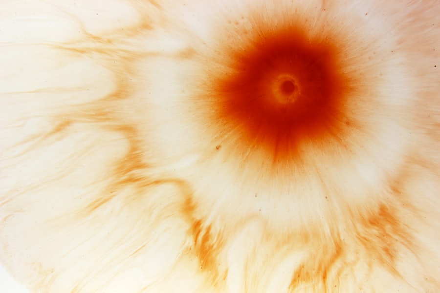 circumstellar dust formation
