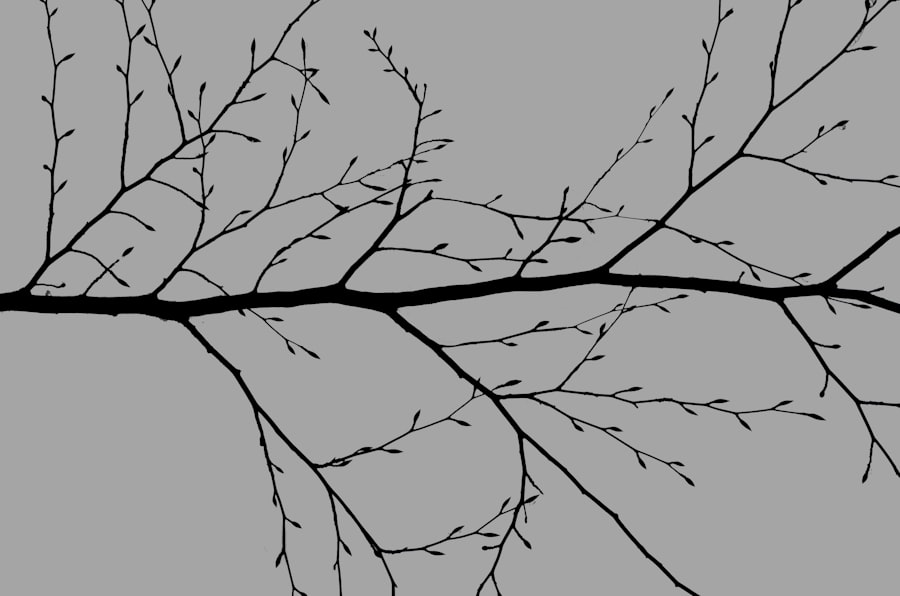 asymptotic giant branch mass loss