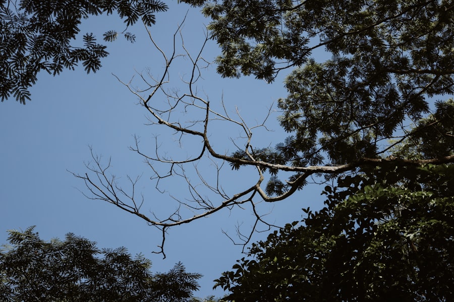 Photo asymptotic giant branch mass loss