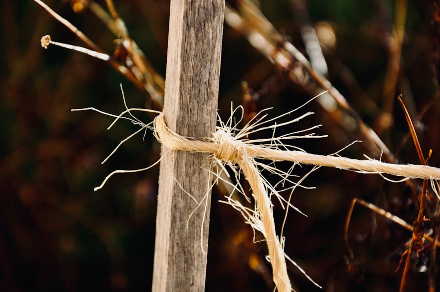 Photo asymptotic giant branch mass loss