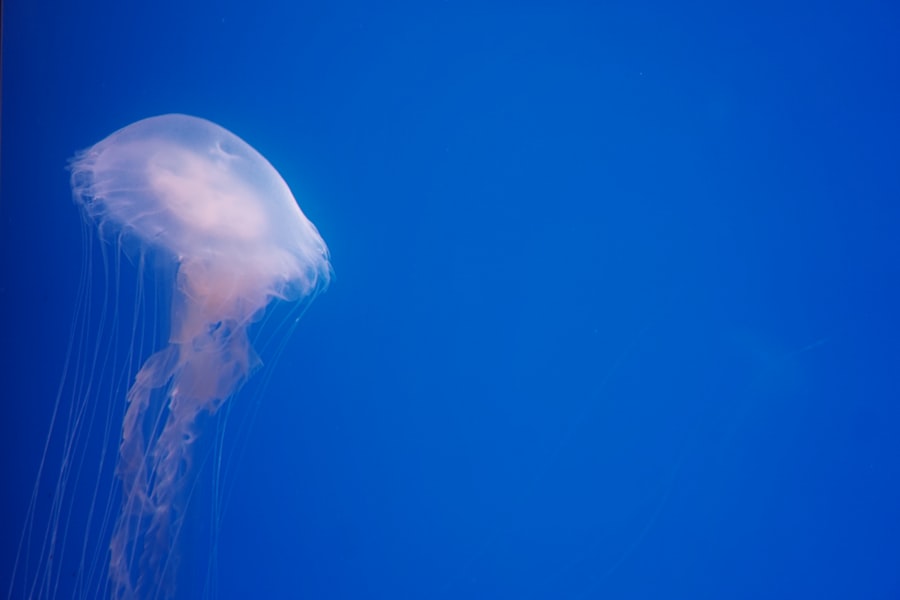 Photo nuclear launch codes