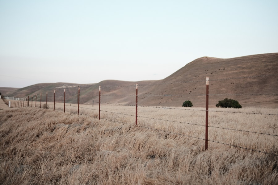 Photo perimeter system