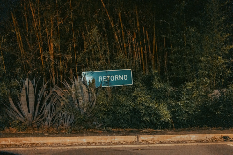 Photo Pinocchios journey