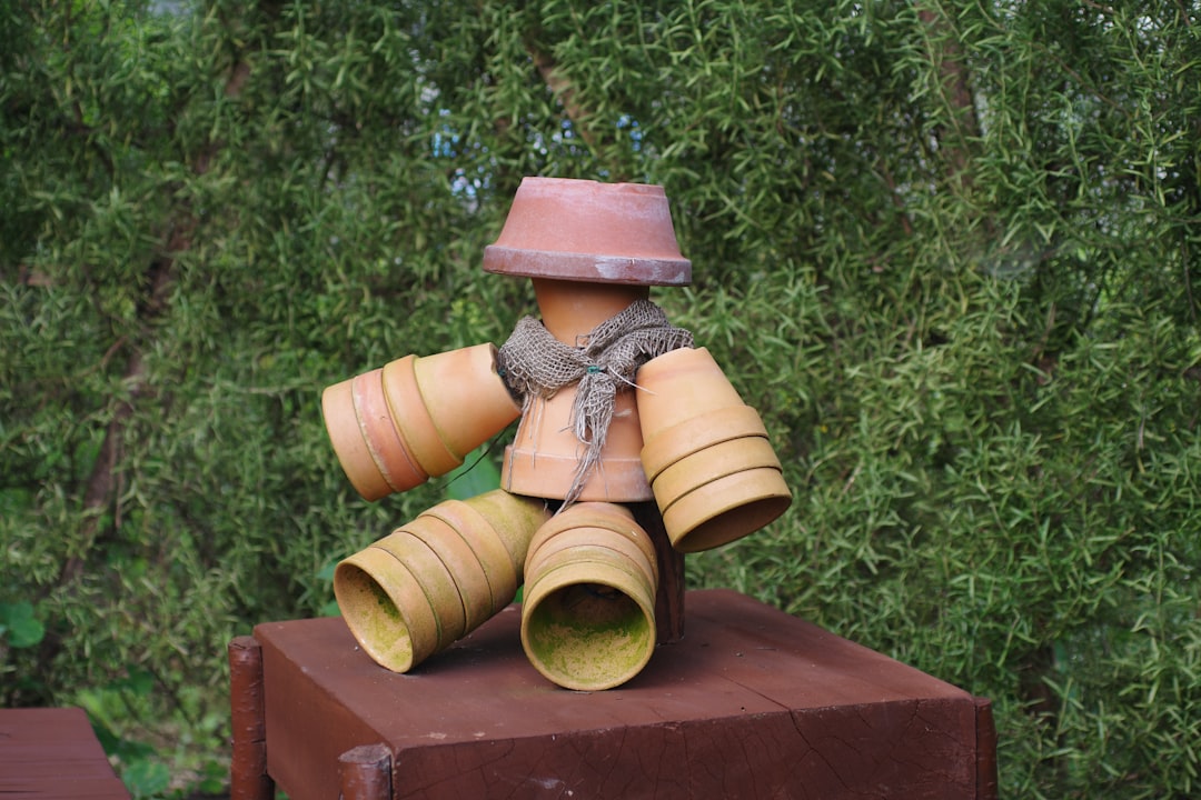 Photo pinocchio land