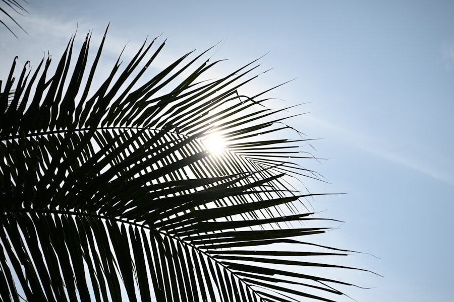 Photo sunscreen filters