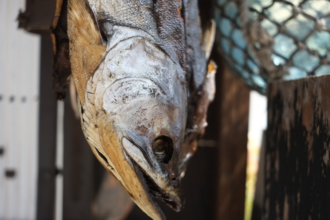 Photo tuna fishing industry secrets