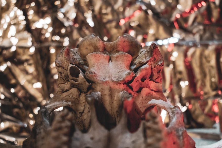 Photo huntsman brought back animal organs