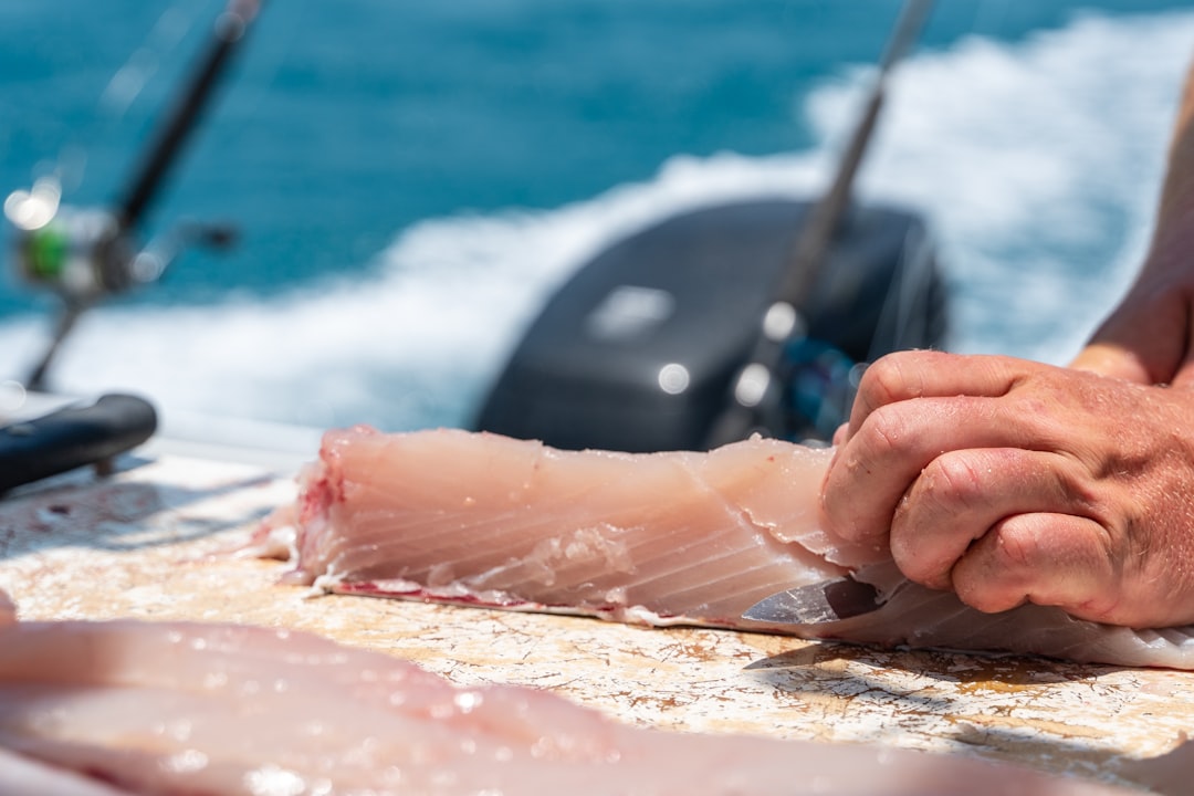 Photo tuna fishing methods