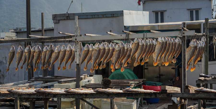 Photo tuna fishing methods