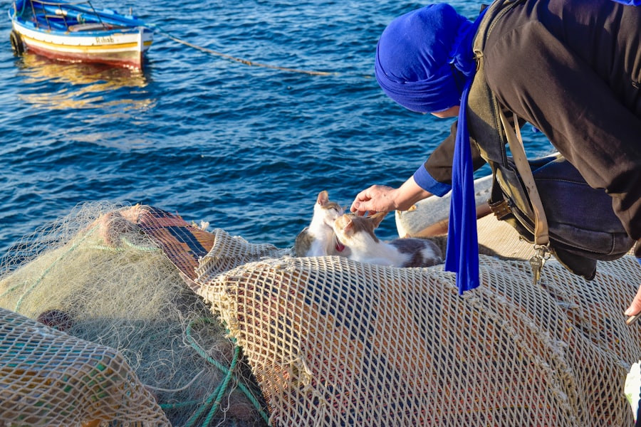 Photo tuna fishing practices