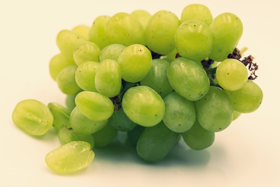 Photo grape supply chain
