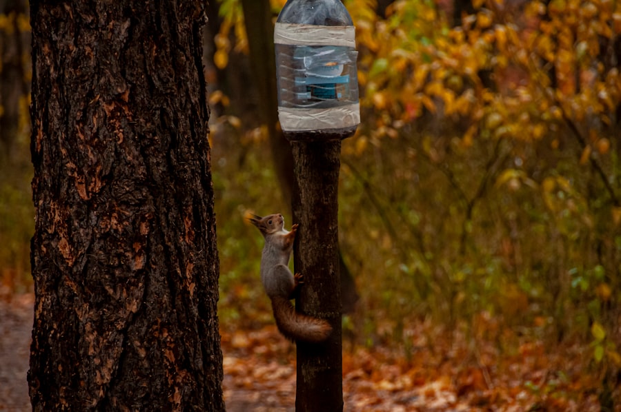 Photo drinking water act