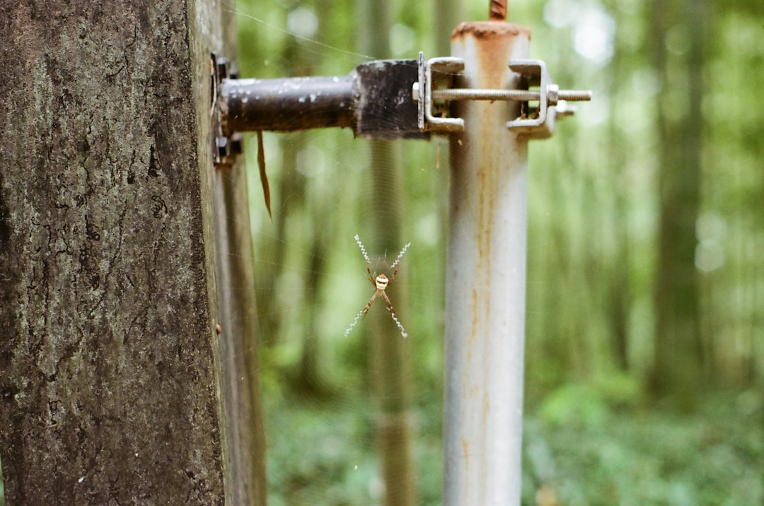 Photo filter home tap water