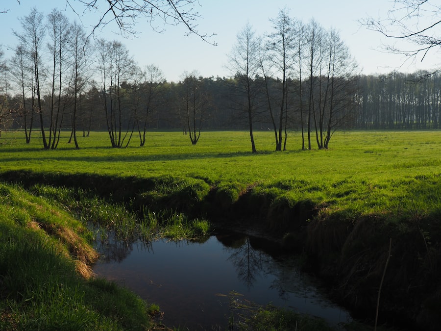 Photo poland spring water