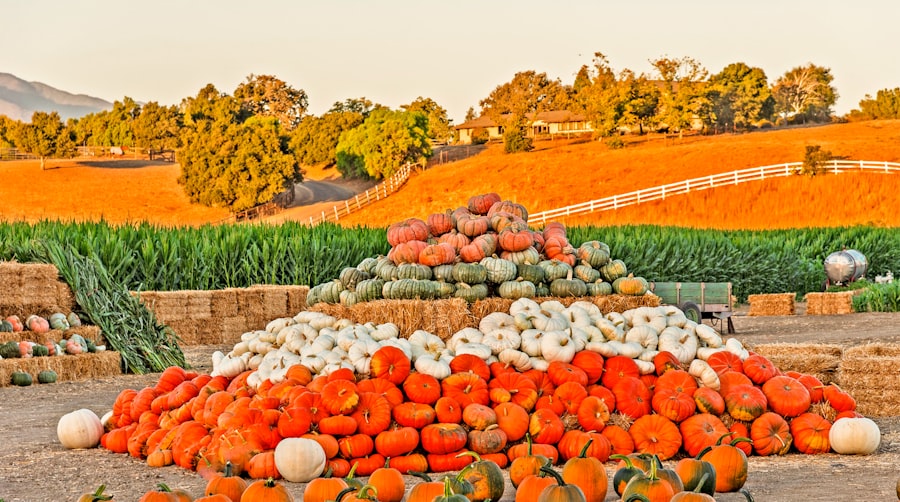 organic certification fraud