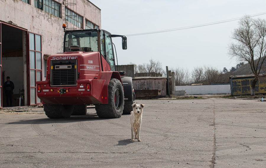 Photo dog food supply chain transparency