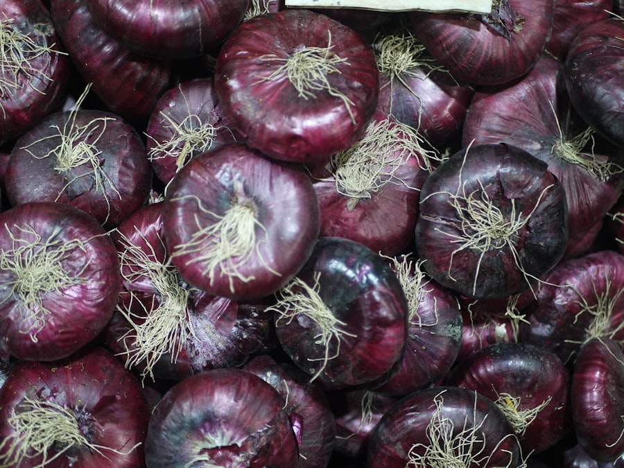 Photo organic produce