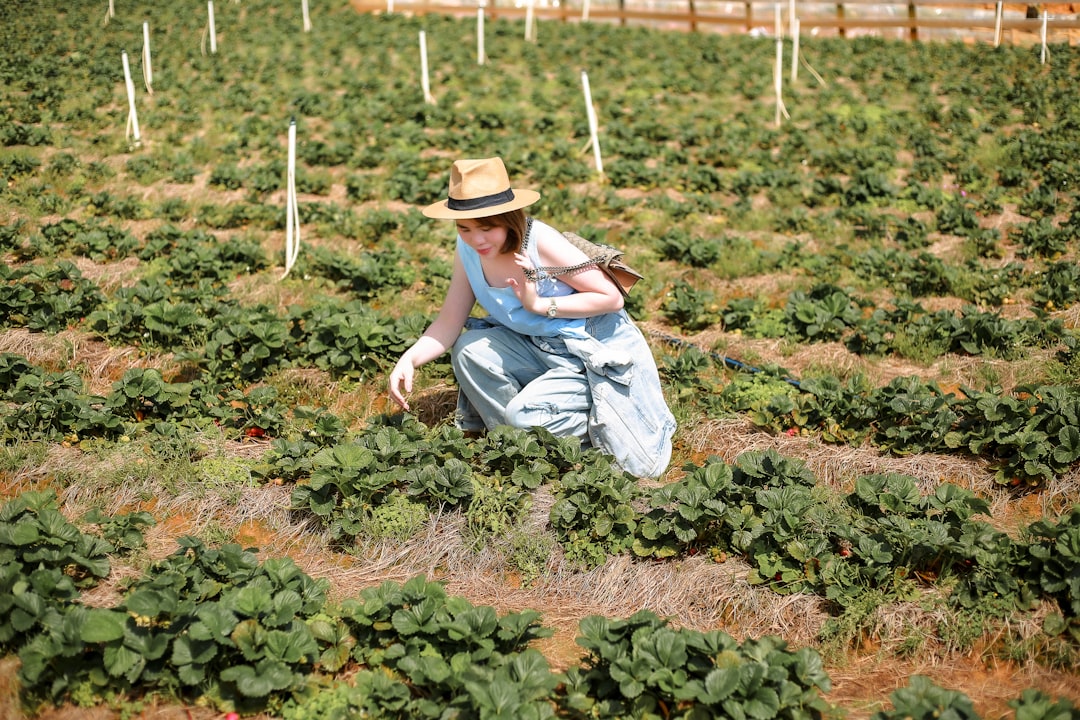 Photo organic certification fraud