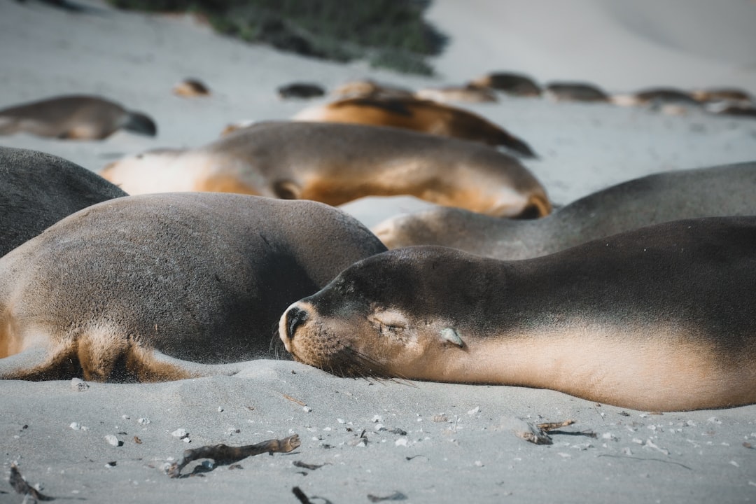 Photo USDA organic seal loopholes