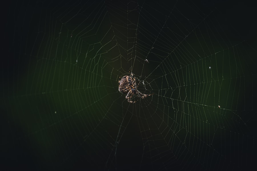 saddam husseins spider hole