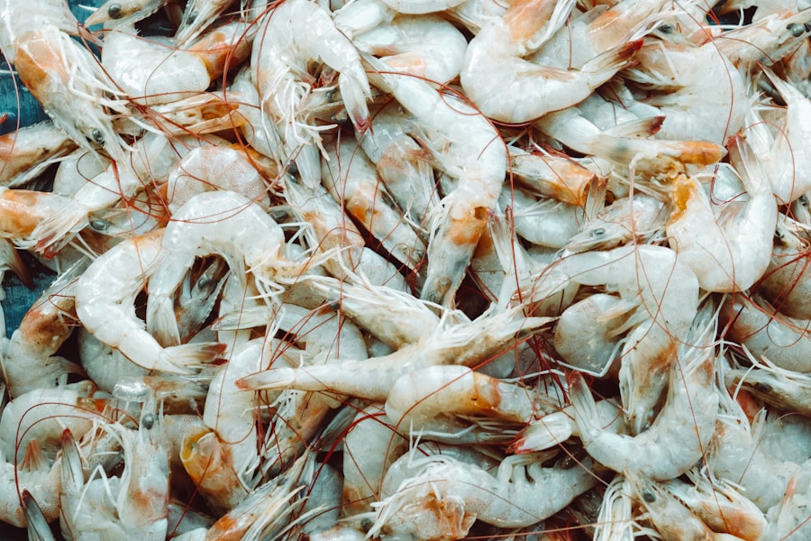 shrimp, cheap