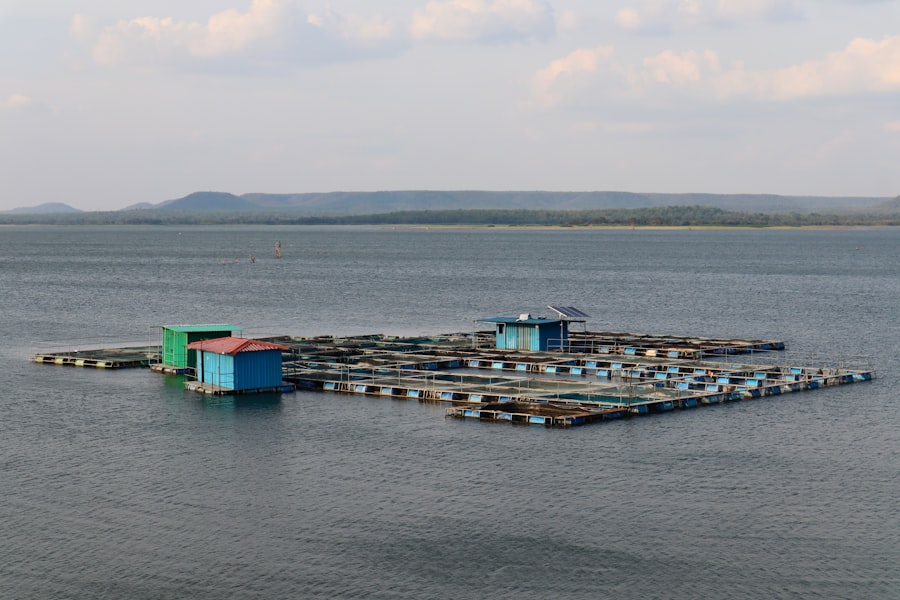 aquaculture labor exploitation