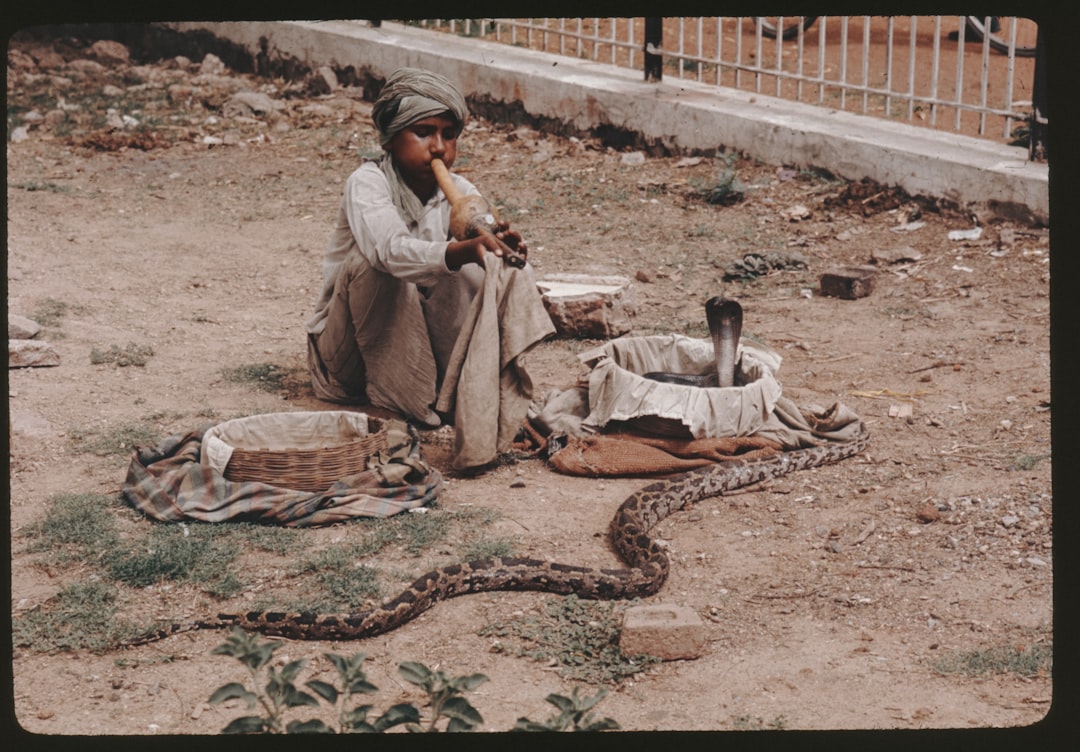 Photo saddams capture