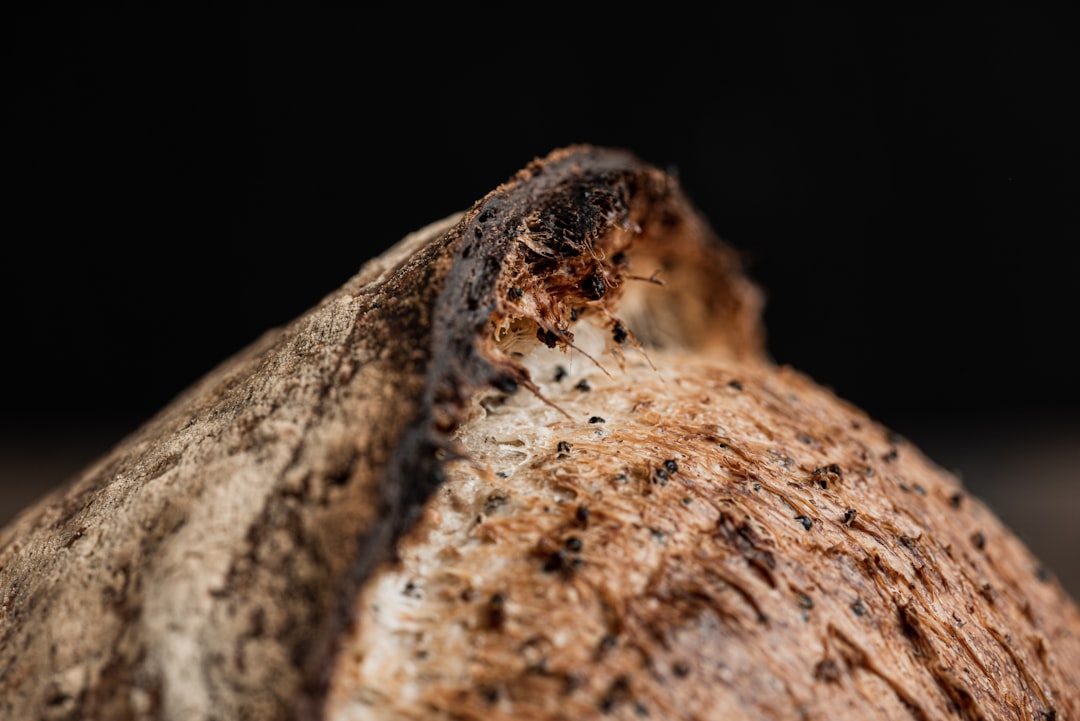 Photo bread ingredients