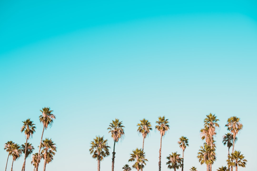 Photo NHS creation