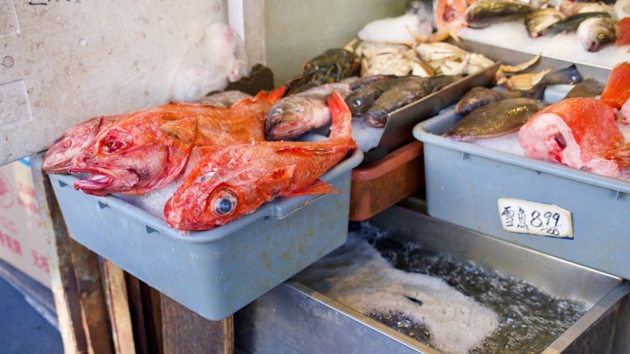 Photo seafood supply chain transparency