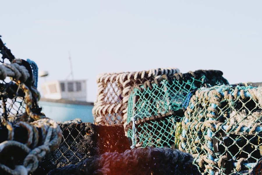 Photo human trafficking seafood industry