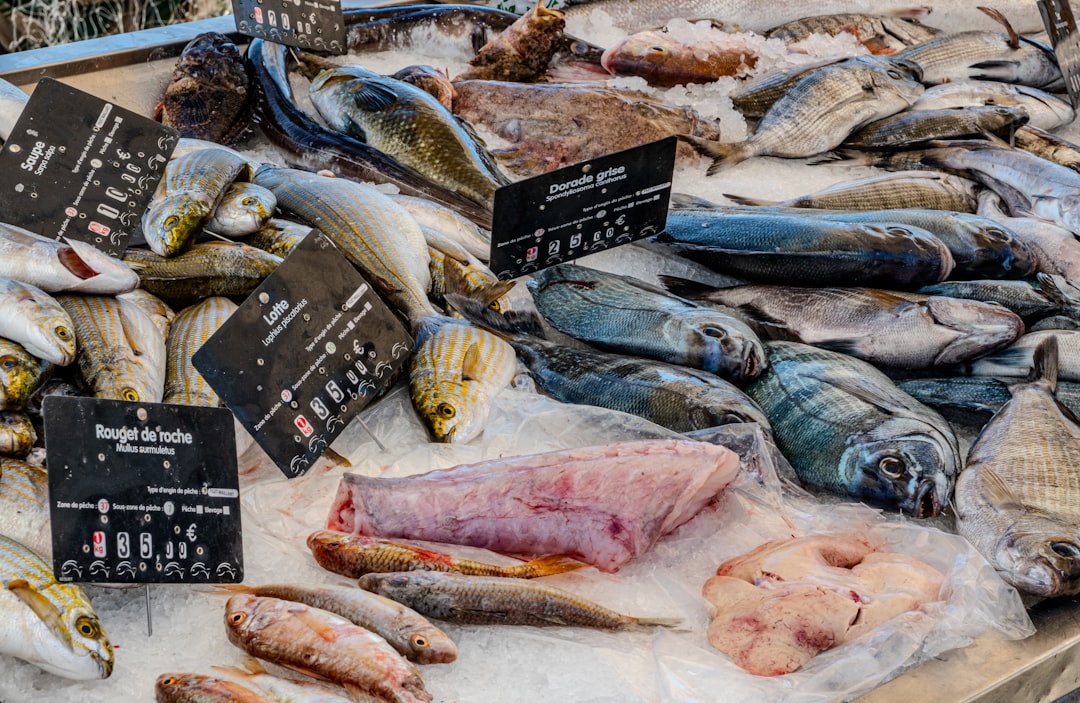 Photo sustainable seafood certification fraud