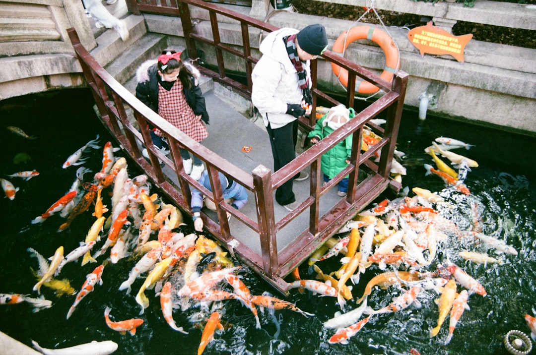 Photo seafood processing