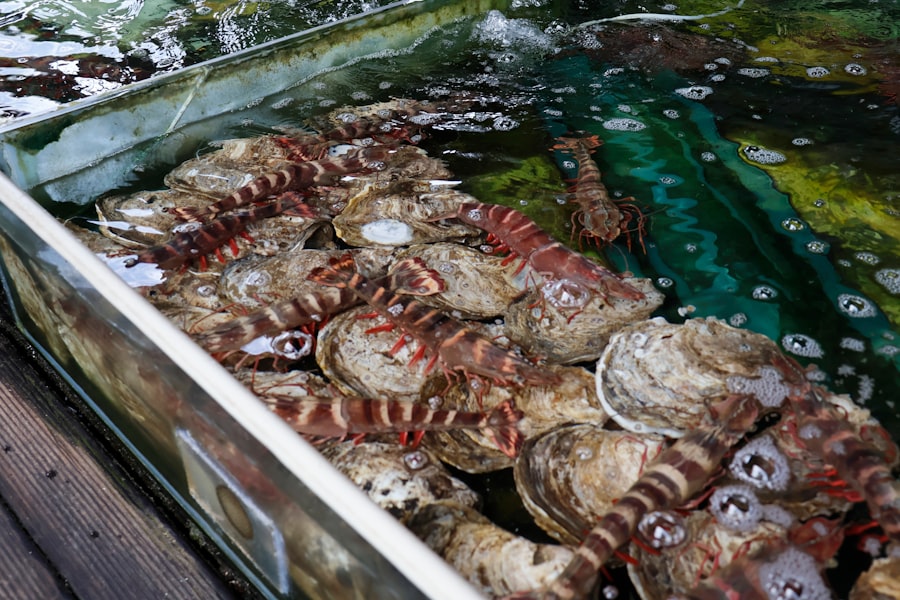 Photo seafood fraud