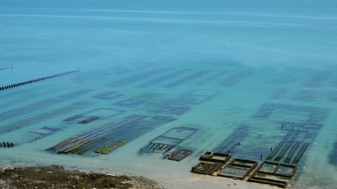 Photo seafood industry