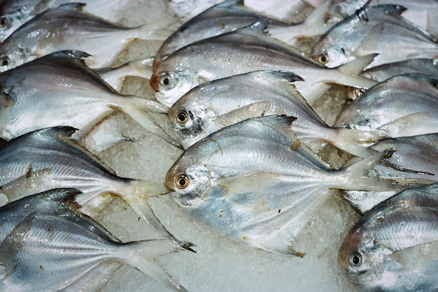 Photo seafood industry