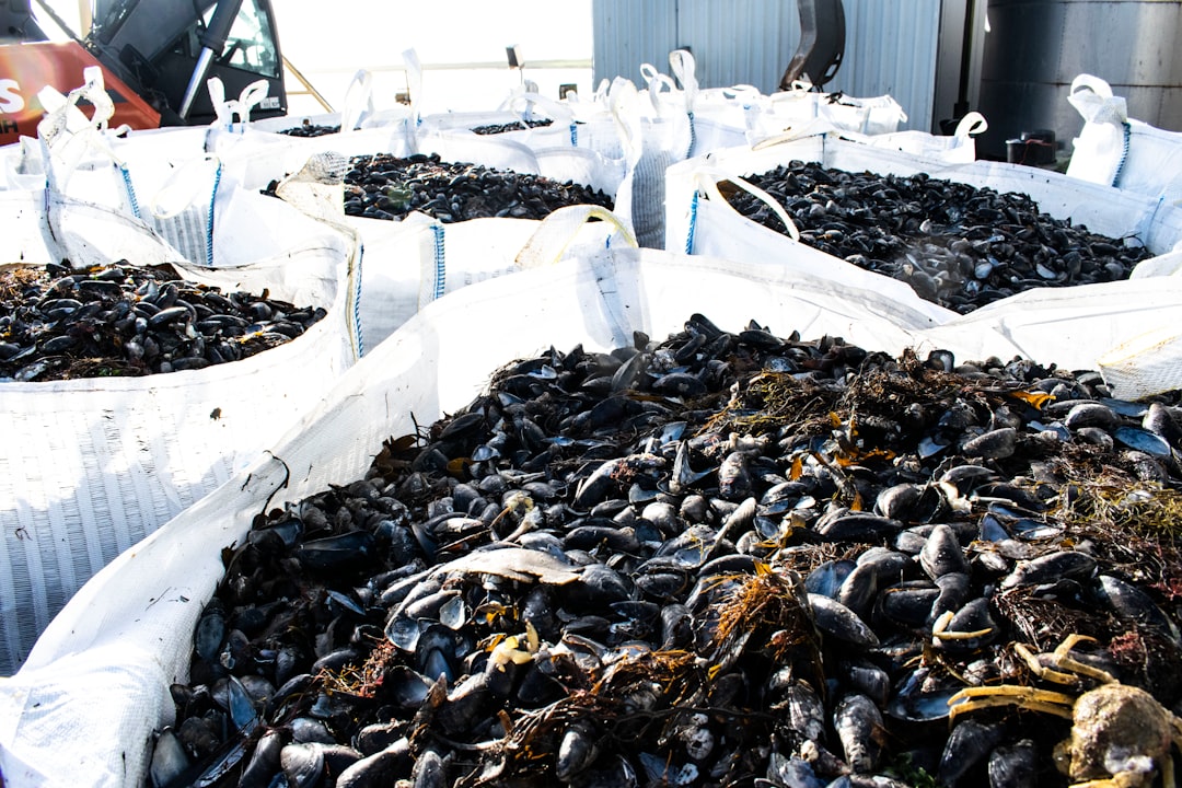 Photo seafood processing plant conditions