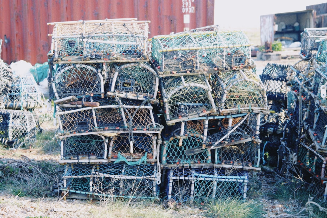 Photo sustainable fishing practices