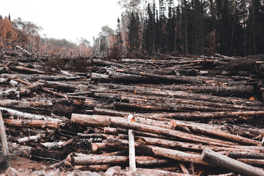 bretton woods system collapse