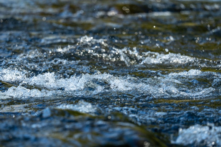 water quality data access