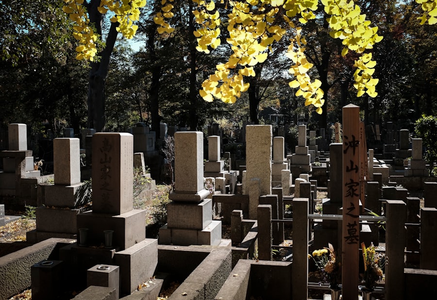 funeral industry, exploits families