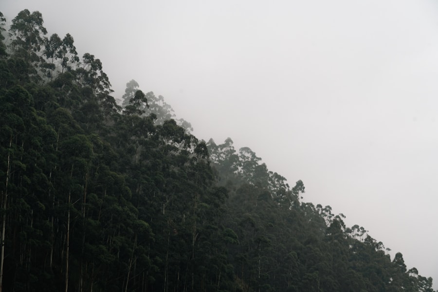 Mountain Dew BVO ban