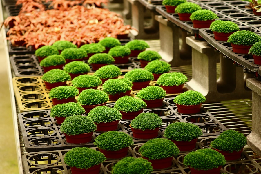 Food industry self-approval process