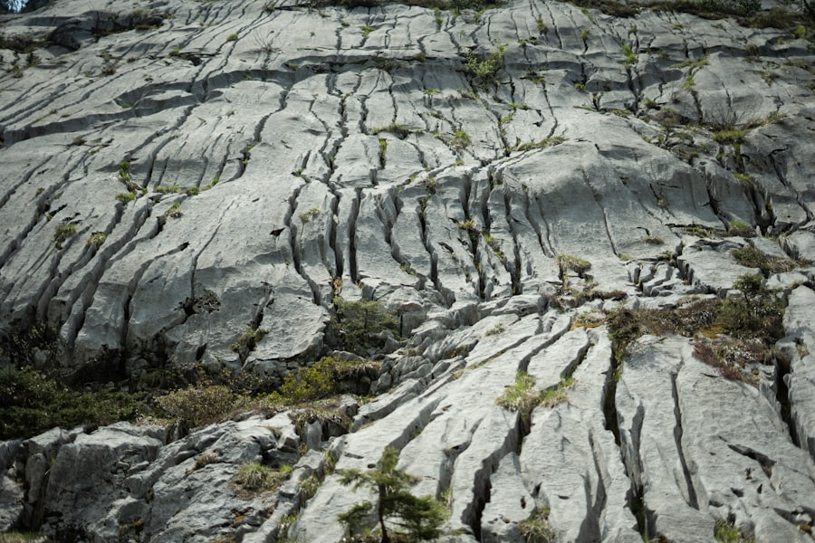 geological processes