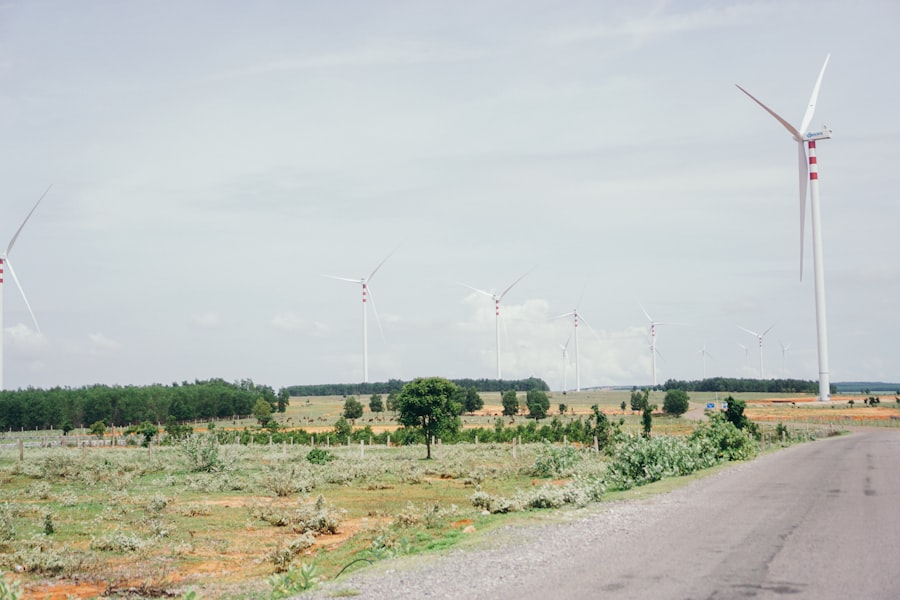 land use regulations