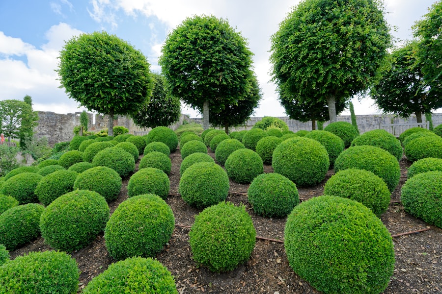 retirement hedges