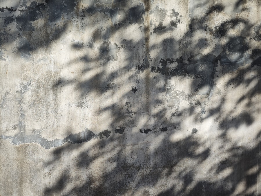 Photo moon landing shadows