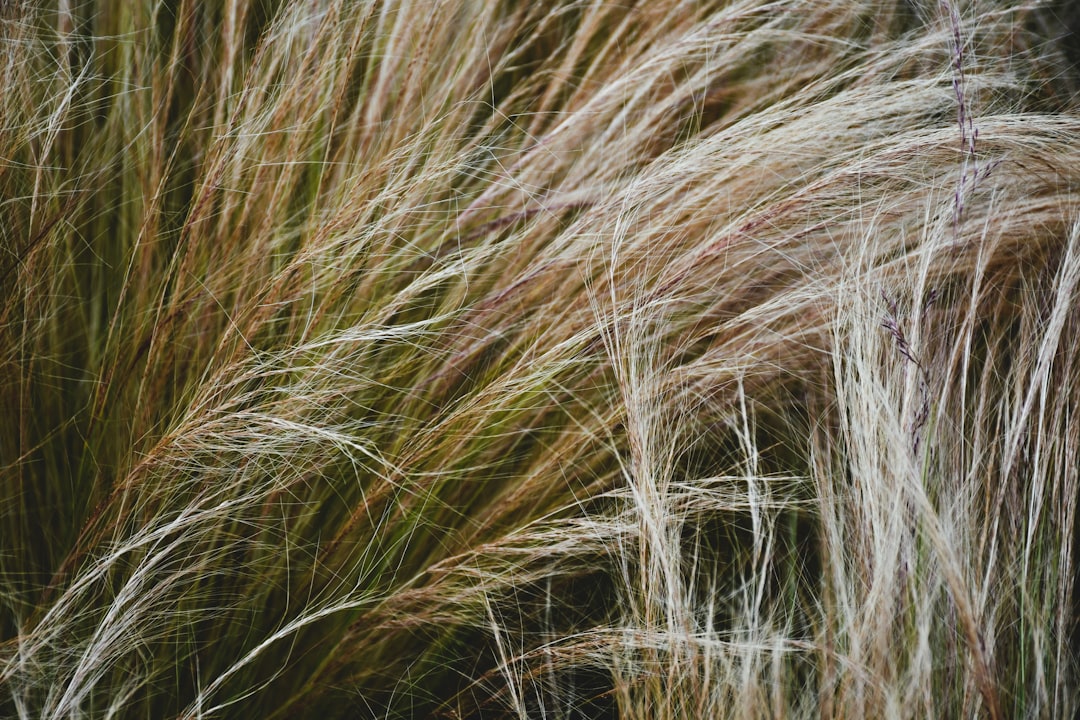 Photo hair dye allergy symptoms